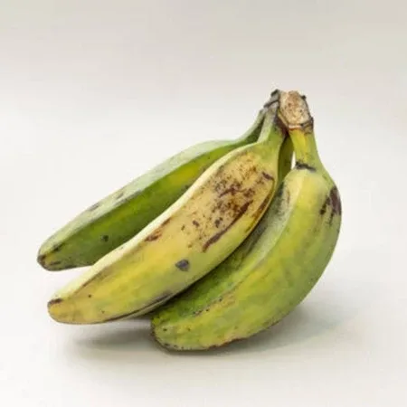 Bijak Bersikap " Orang Pintar "